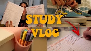 STUDYVLOG FEDERAL 1  Luana Carolina [upl. by Theodora]