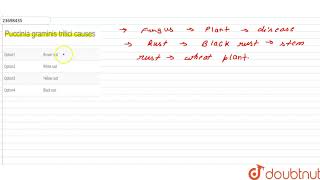 Puccinia graminis tritici causes [upl. by Carrissa435]