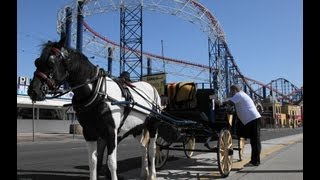 Horse Drawn Carriage Ride along the Golden Mile Blackpool [upl. by Berfield]