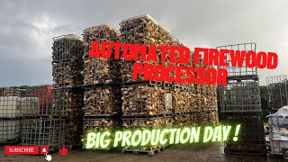 Day 127  Fuelwood Factory POV Big Day Processing [upl. by Ycram562]