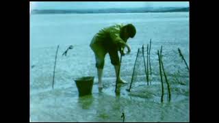 Penclawdd  Estuary  1963 [upl. by Hulbig847]