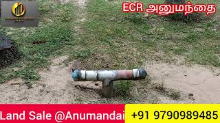 VID230 50 Acres Coconut farm land Sale at ECR Anumandai price per Acre 75 lakhs [upl. by Titus]