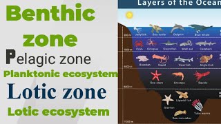 Benthic zone। Pelagic zone।Lotic ecosystem। Planktonic organism ncert biology SudheerSirJi [upl. by Coke]