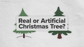 Which do you prefer real or fake Christmas trees [upl. by Bisset]