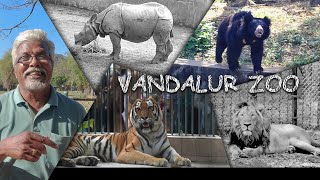 Visiting VANDALUR ZOO after Ages 🦁🐯🦒🦓 [upl. by Socem]