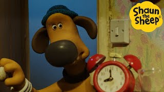 Shaun the Sheep 🐑 Bedtime  Cartoons for Kids 🐑 Full Episodes Compilation 1 hour [upl. by Edina139]