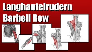 How 2 Langhantel Rudern Barbell Rows [upl. by Kristien]