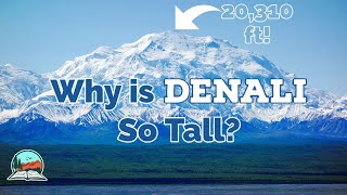 Why is Denali So Tall [upl. by Suirtimed]