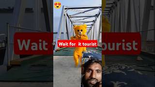 The teddy bear so beautiful dance 😍😍 funny funnyshorts tiktok trendingvideo shortvideo shorts [upl. by Kristian]