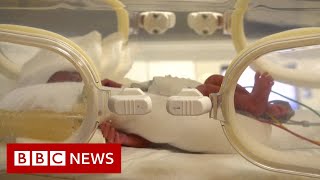 Woman gives birth to nine babies  BBC News [upl. by Ahsienal]