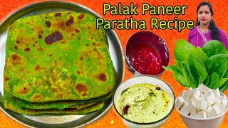 Palak paneer Paratha Recipe Healthy Nashtacooking video Blog 2024 new Recipe paratha green paratha [upl. by Enej896]