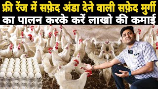 अंडा देने वाली मशीन गन White Leghorn Poultry Farming In India व्हाइट लेगॉर्न चिकन फार्म [upl. by Moneta]