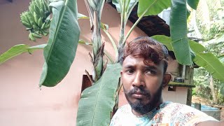 ආයුබෝවන් වාසනාවන්  live chat boxchatuwa vlogs [upl. by Faludi]