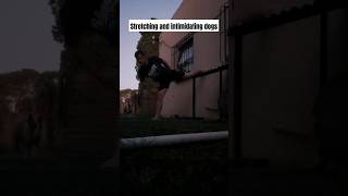 wall stretch for flexibility hip strength hamstring mma muaythai taekwondo kickboxing [upl. by Hodges174]