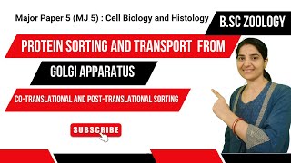 Protein Sorting and transport from Golgi apparatus Bsc 3rd Semester Zoologybsczoology [upl. by Jerry]