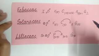 Floral Formula of Fabaceae Solanaceae and Liliaceae [upl. by Lybis]