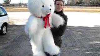 Giant Soft and Snuggly White Furry Valentine Teddy Bear 42inches tall made in the USA America [upl. by Molahs]