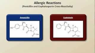 Important Side Effects and Toxicities Antibiotics  Lecture 8 [upl. by Elyl]