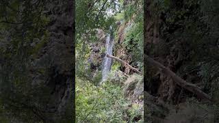 Gorman Falls Colorado Bend State Park outdoors hiking waterfall [upl. by Bittencourt891]