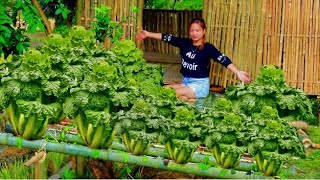 The girl lives alone in an abandoned bamboo house making a living for herself [upl. by Goulden]