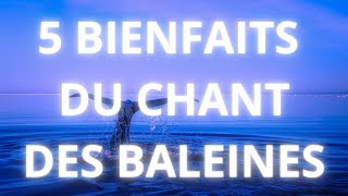 5 Bienfaits du Chant des baleines [upl. by Gal]