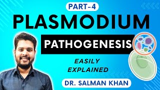 PATHOGENESIS amp PATHOGENIC LESIONS in Malaria  Part4  PLASMODIUM  Parasitology  Dr Salman Khan [upl. by Sayer]