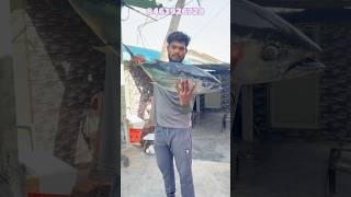 కర్నూల్ 10kg tuna fish డెలివరీ చేశానుviralreelstrendingreelsseafishseafishingramufishpacking [upl. by Anirret]