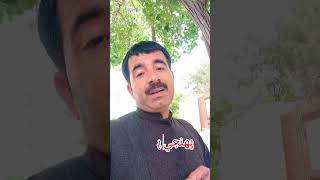 Sindhi poetry shortvideos sindhipoetry hakimbaloch [upl. by Hylan]