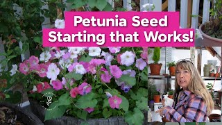 Petunia Seed Starting that Works [upl. by Finbar]