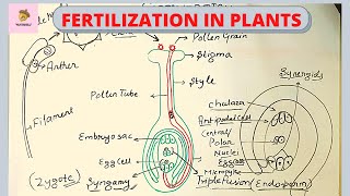 Dr Kaberi Banerjee explains what is In Vitro Fertilization IVF  How does it work [upl. by Nivak]