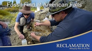 Fossil Find at American Falls [upl. by Aseneg827]