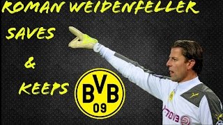 Roman Weidenfeller  Saves  Borussia Dortmund [upl. by Jacklyn]