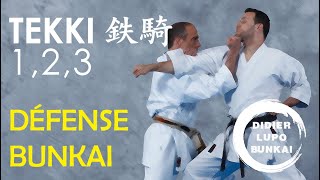 Tekki Shodan Nidan et Sandan Défense Bunkai par Didier LUPO [upl. by Nowujalo828]