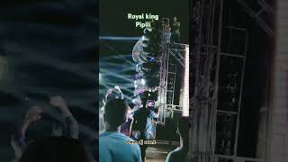 Dj Royal kingdj royalking djshorts djviral pipiliking [upl. by Raddie]