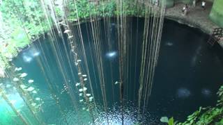 SACRED CENOTE  CANCUN  MEXICO [upl. by Aibat]