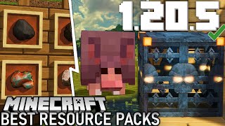 TOP 30 Best Texture Packs for 12061205🥇 [upl. by Maroney]