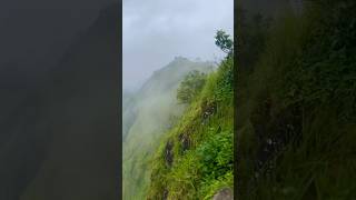 Explore 🏕️  Hridayam  Song  travel status trending nature travel love viralvideo munnar [upl. by Annavoj]