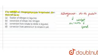 if by radiation all nitrogenase enzyme is inactivated then there will be no [upl. by Okoy]