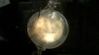 Underwater Explosions at 120000fps  The Slow Mo Guys [upl. by Anihcak964]