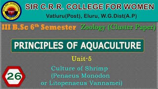 26 BSc 36  Principles of Aquaculture  Unit 5  Culture of Shrimp [upl. by Irehc]