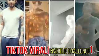 INVISIBLE CHALLENGE  The Trending Challenge of Tiktok [upl. by Orodoet]