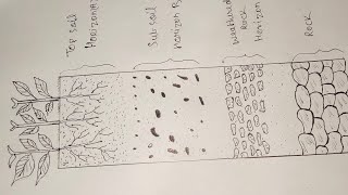 soil profile diagram। Layers of soil profile। How to draw soil profile step by step। [upl. by Kilgore553]