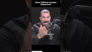 does caffeine increase dopamine [upl. by Naitsirt]