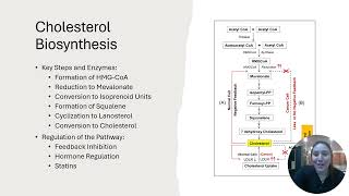 Lovastatin and its Pathway to Inhibit Cholesterol [upl. by Elleral987]