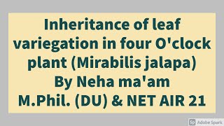 Inheritance of leaf variegation in four oclock plant  Extranuclear inheritance  CSIR NET [upl. by Jana]