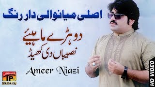 Sari Naseeban Diyan Khel  Ameer Niazi  Latest Song 2018  Latest Punjabi And Saraiki [upl. by Sunderland988]