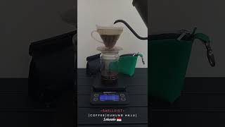 Brewing V60 Dripper  Coffee  Gunung Halu  Indonesia [upl. by Eiramlehcar]