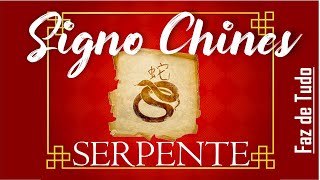 Características do Signo Chinês  Serpente [upl. by Hgielram]