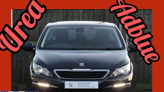 How to top up Adblue in your car  Peugeot 308 Adblue  Adblue in car  Quick easy Adblue filling [upl. by Htabmas917]