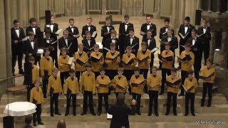 Göttinger Knabenchor quotPühaquot Urmas Sisask Johanneskirche Stuttgart 04102016 [upl. by Anaujik169]